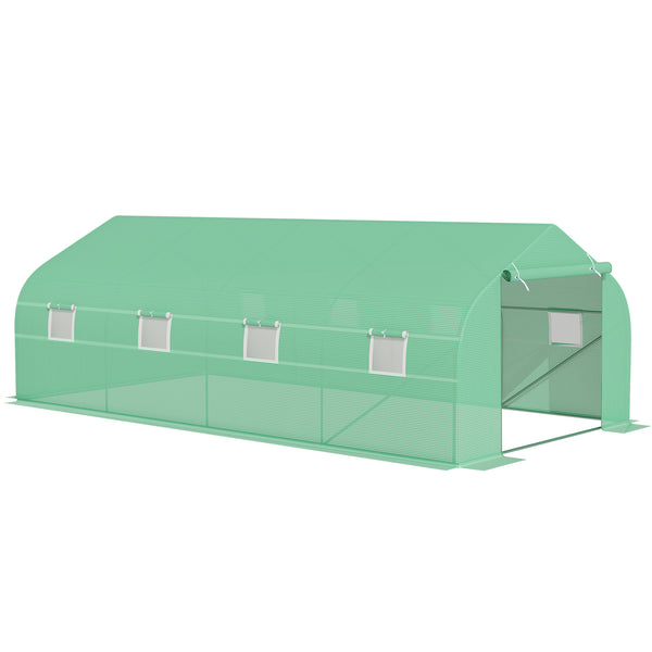 Polytunnel Greenhouse with Windows and Door, Walk in Greenhouse for Garden, Backyard (6 x 3 M)
