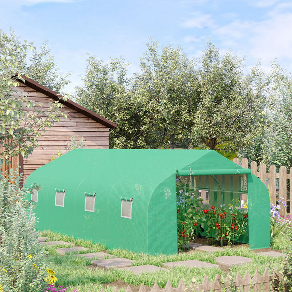 Polytunnel Greenhouse with Windows and Door, Walk in Greenhouse for Garden, Backyard (6 x 3 M)