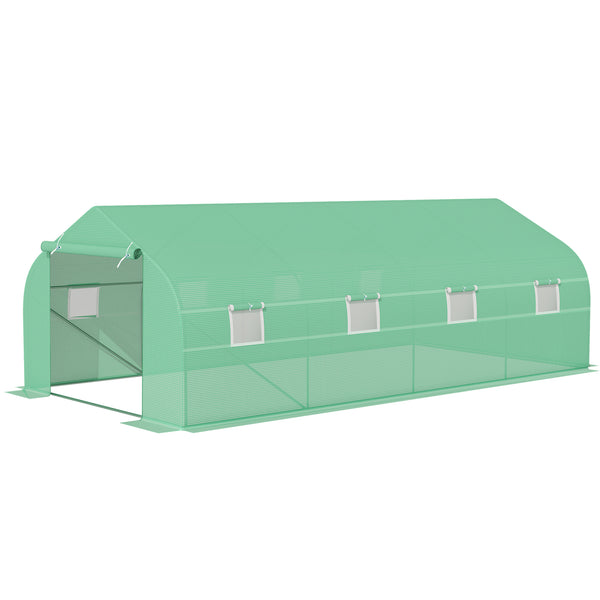 Polytunnel Greenhouse with Windows and Door, Walk in Greenhouse for Garden, Backyard (6 x 3 M)