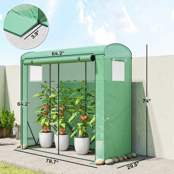 Mini Greenhouse, Portable Greenhouse with Roll-Up Door and 2 Mesh Windows, Small Green House with PE Cover for Garden Patio Lawn, 78.7" x 29.5" x 74", Green