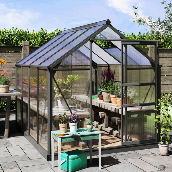 BloomGreen 6' x 8' Greenhouse