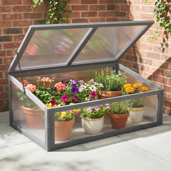 Cold frame with potted plants against a brick wall