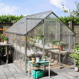 BloomGreen 6' x 12' x 6.5' Polycarbonate Greenhouse with Adjustable Roof Vent & Sliding Door, Clear