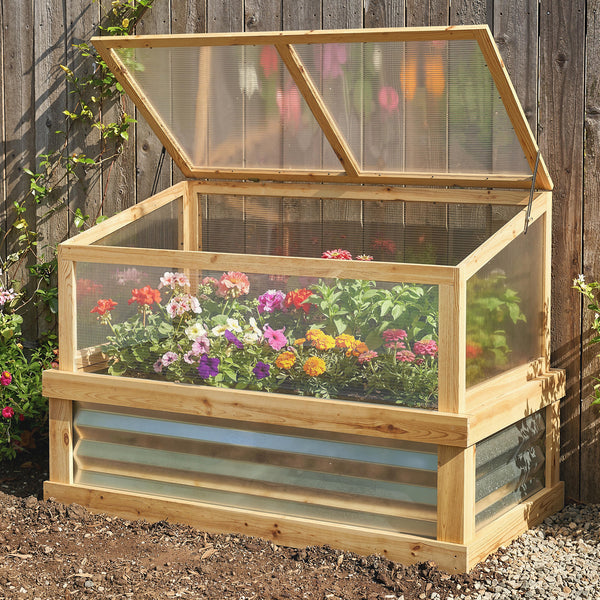 Wooden cold frame with transparent lid containing flowers against a wooden fence background