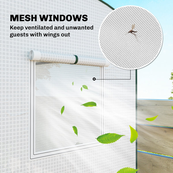 Mini Greenhouse, Portable Greenhouse with Roll-Up Door and 2 Mesh Windows, Small Green House with PE Cover for Garden Patio Lawn, 78.7" x 29.5" x 74", White