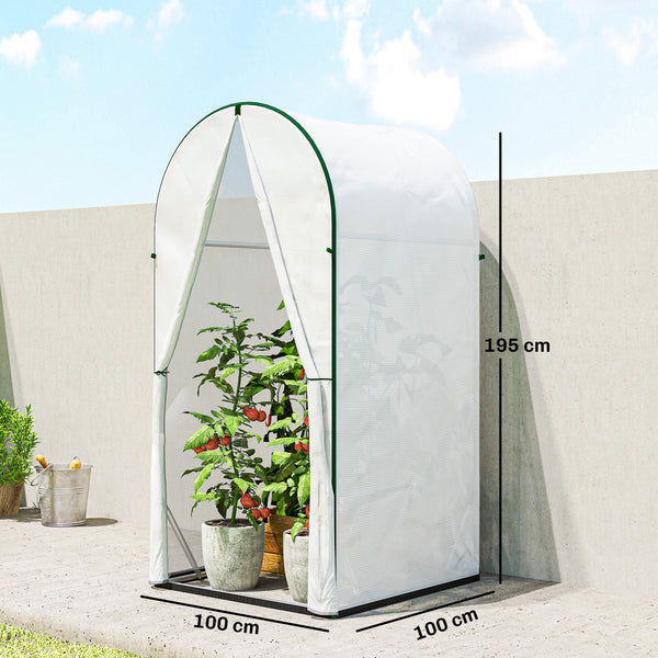 Mini Greenhouse, Portable Green House with Roll-Up Door, PE Base, Small Greenhouse for Garden Patio, 100 x 100 x 195 cm, White