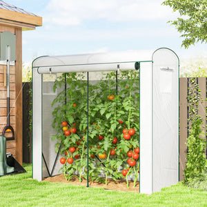 Mini Greenhouse, Portable Greenhouse with Roll-Up Door and 2 Mesh Windows, Small Green House with PE Cover for Garden Patio Lawn, 78.7" x 29.5" x 74", White
