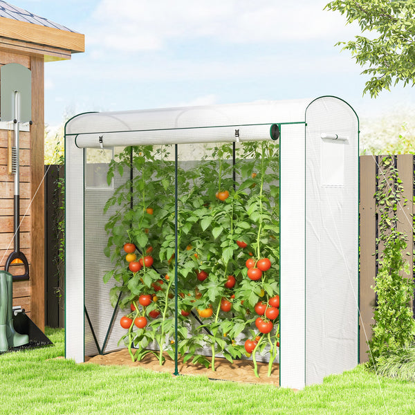 Mini Greenhouse, Portable Greenhouse with Roll-Up Door and 2 Mesh Windows, Small Green House with PE Cover for Garden Patio Lawn, 78.7" x 29.5" x 74", White
