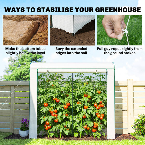 Mini Greenhouse, Portable Greenhouse with Roll-Up Door and 2 Mesh Windows, Small Green House with PE Cover for Garden Patio Lawn, 78.7" x 29.5" x 74", White