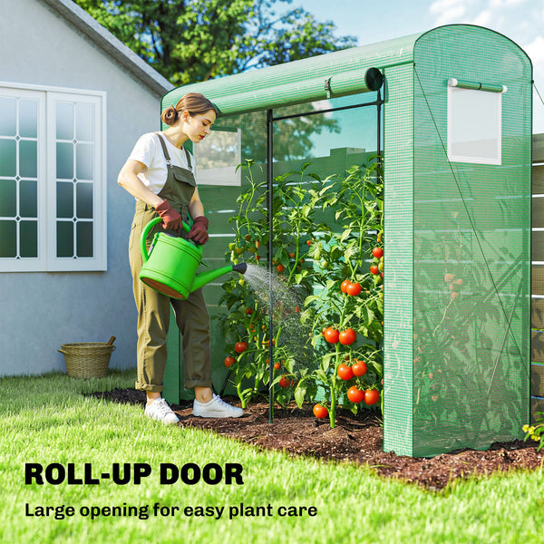 Mini Greenhouse, Portable Greenhouse with Roll-Up Door and 2 Mesh Windows, Small Green House with PE Cover for Garden Patio Lawn, 78.7" x 29.5" x 74", Green