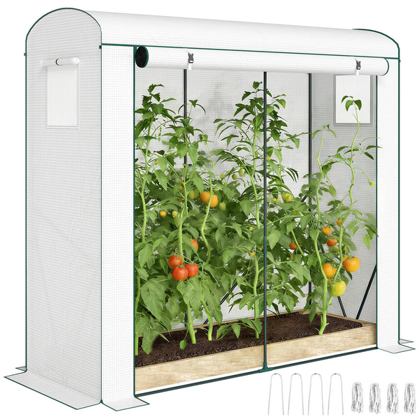 Mini Greenhouse, Portable Greenhouse with Roll-Up Door and 2 Mesh Windows, Small Green House with PE Cover for Garden Patio Lawn, 78.7" x 29.5" x 74", White