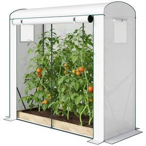 Mini Greenhouse, Portable Greenhouse with Roll-Up Door and 2 Mesh Windows, Small Green House with PE Cover for Garden Patio Lawn, 78.7" x 29.5" x 74", White