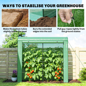 Mini Greenhouse, Portable Greenhouse with Roll-Up Door and 2 Mesh Windows, Small Green House with PE Cover for Garden Patio Lawn, 78.7" x 29.5" x 74", Green
