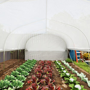 6 x 3 x 2m Walk-in Polytunnel Greenhouse, Zipped Roll Up Sidewalls, Mesh Door, 8 Mesh Windows, Tunnel Warm House Tent with PE Cover, Complimentary Plant Labels and Gloves, White