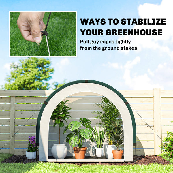 Foldable Small Greenhouse, Portable Green House with Zipper Door, PE Base, Mini Greenhouse for Garden Patio, 200 x 80 x 164 cm, Green