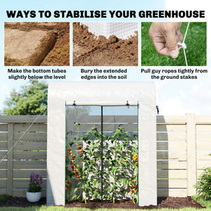6' x 2' x 6.6' Mini Greenhouse, Portable Garden Green House with Roll-up Door and Mesh Windows, Small Plant Greenhouse with PE Cover, Steel Frame for Indoor Outdoor, White