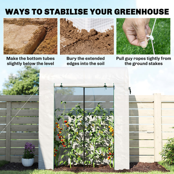 6' x 2' x 6.6' Mini Greenhouse, Portable Garden Green House with Roll-up Door and Mesh Windows, Small Plant Greenhouse with PE Cover, Steel Frame for Indoor Outdoor, White