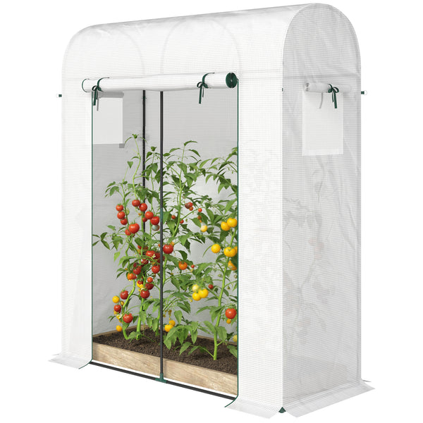 6' x 2' x 6.6' Mini Greenhouse, Portable Garden Green House with Roll-up Door and Mesh Windows, Small Plant Greenhouse with PE Cover, Steel Frame for Indoor Outdoor, White