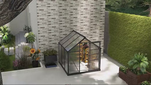 BloomGreen 6' x 6' x 6.6' Polycarbonate Greenhouse with Aluminum Frame, Grey