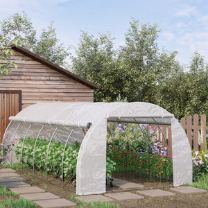 Large Walk-in Greenhouse, 20'x10'x6' Tunnel Greenhouse with Zippered Door and 12 Roll-up Windows, Outdoor Green House for Garden Plant, White