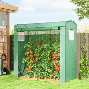 Mini Greenhouse, Portable Greenhouse with Roll-Up Door and 2 Mesh Windows, Small Green House with PE Cover for Garden Patio Lawn, 78.7" x 29.5" x 74", Green